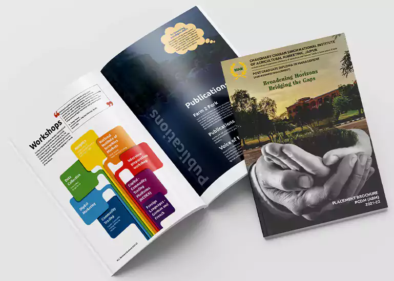 NIAM Placement Brochure 