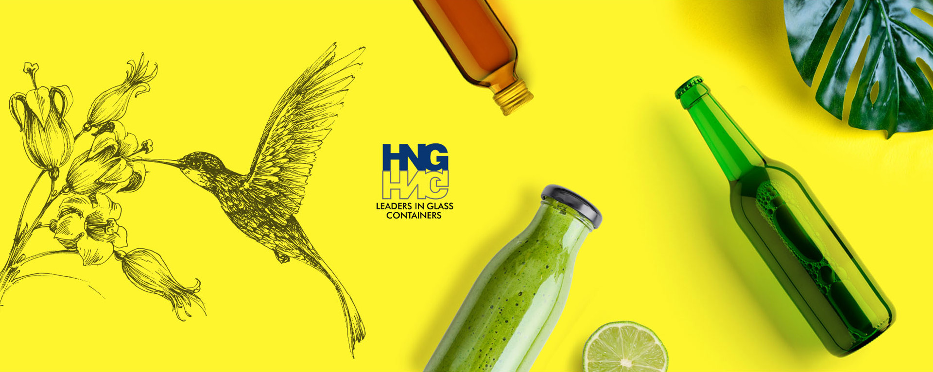 Hindustan National Glass & Industries Limited