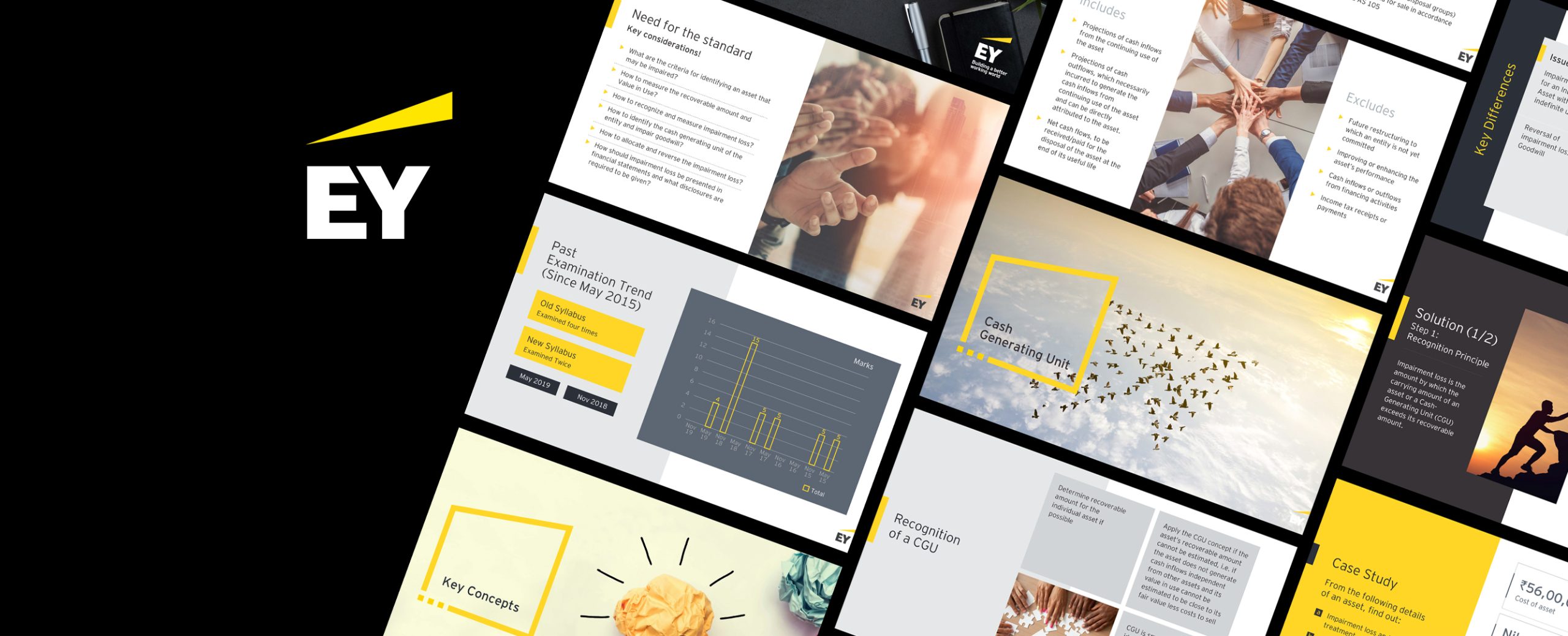Ernst & Young Associates LLP
