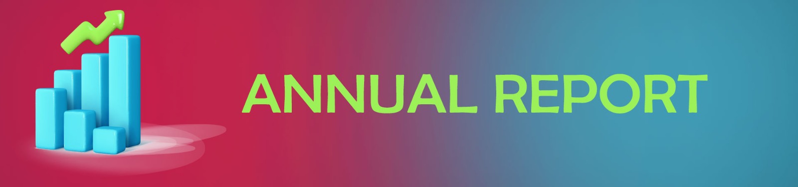Annual Report: A Year of Growth and Strategic Vision